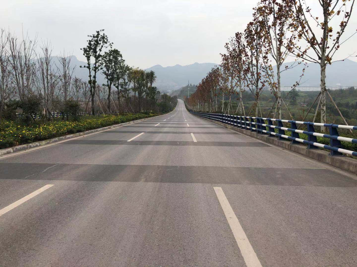 H標2.JPG